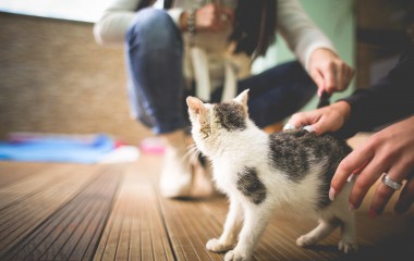 Sample Post With Threaded Comments